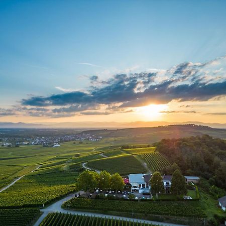 Koepfers Steinbuck Hotel Bischoffingen Bagian luar foto