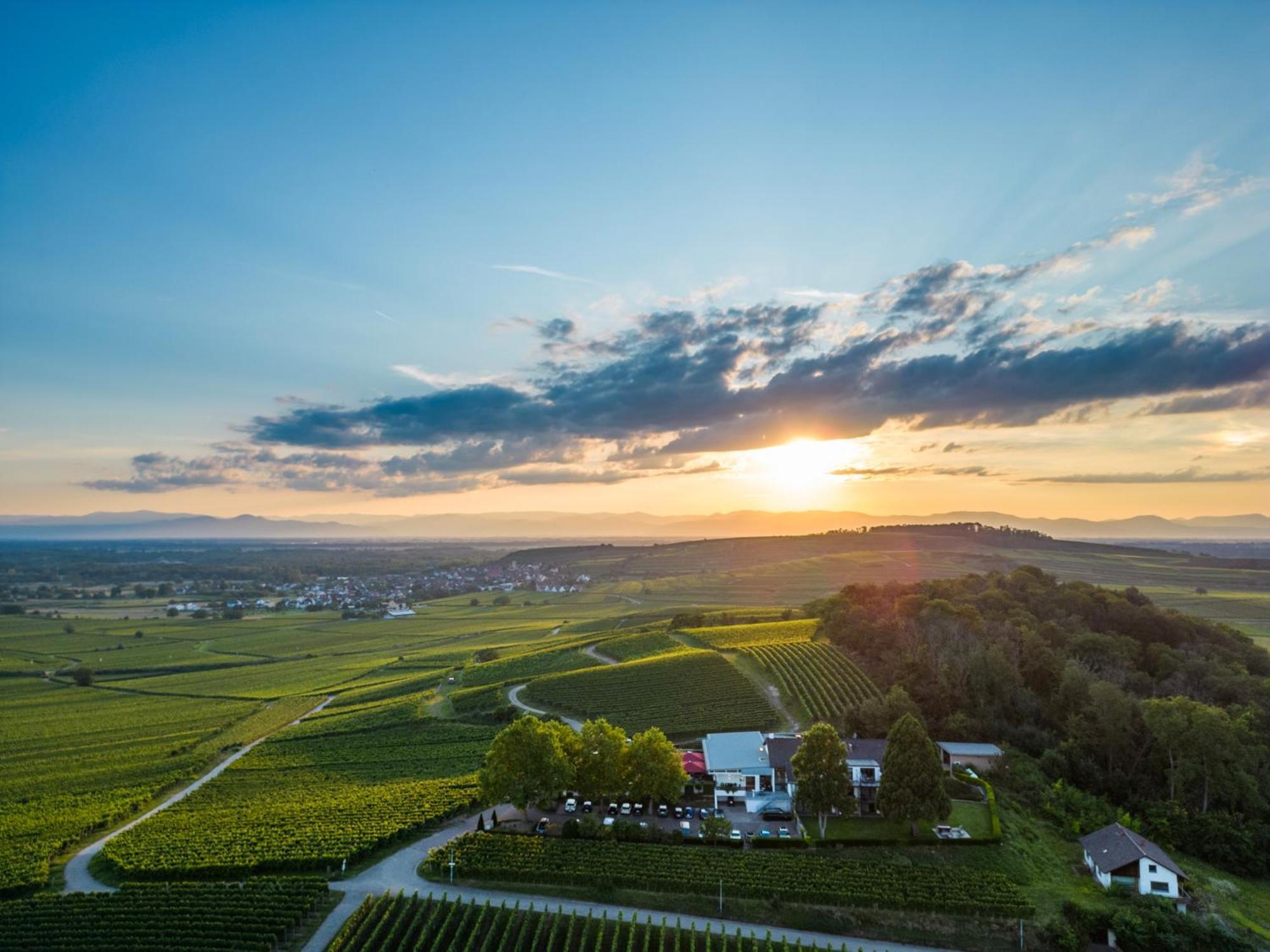 Koepfers Steinbuck Hotel Bischoffingen Bagian luar foto