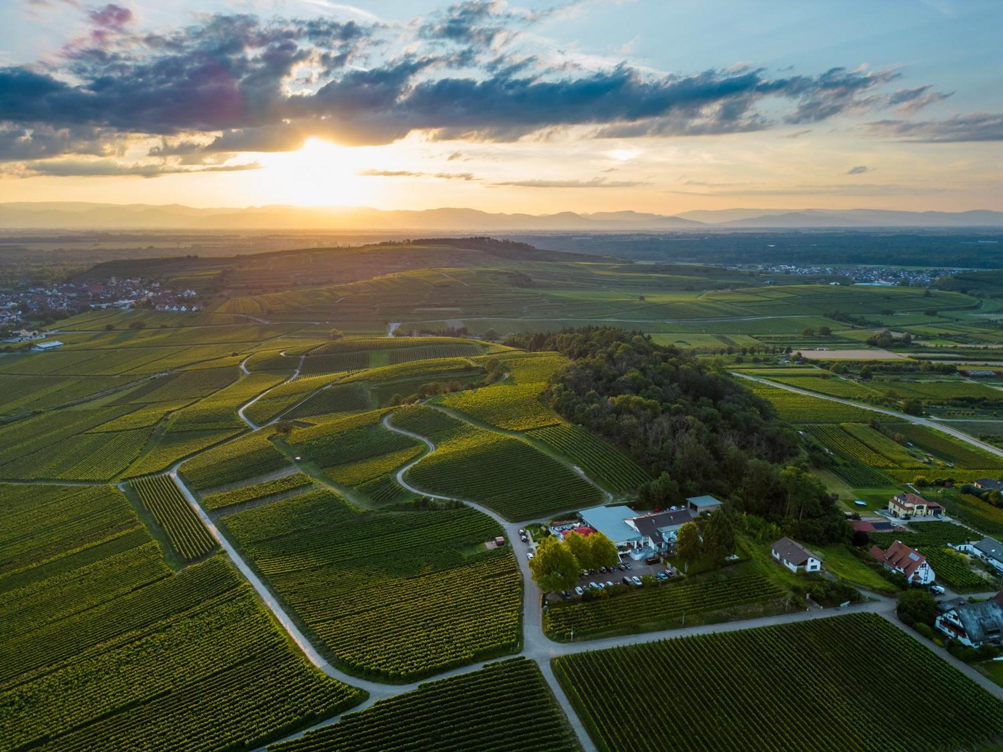 Koepfers Steinbuck Hotel Bischoffingen Bagian luar foto