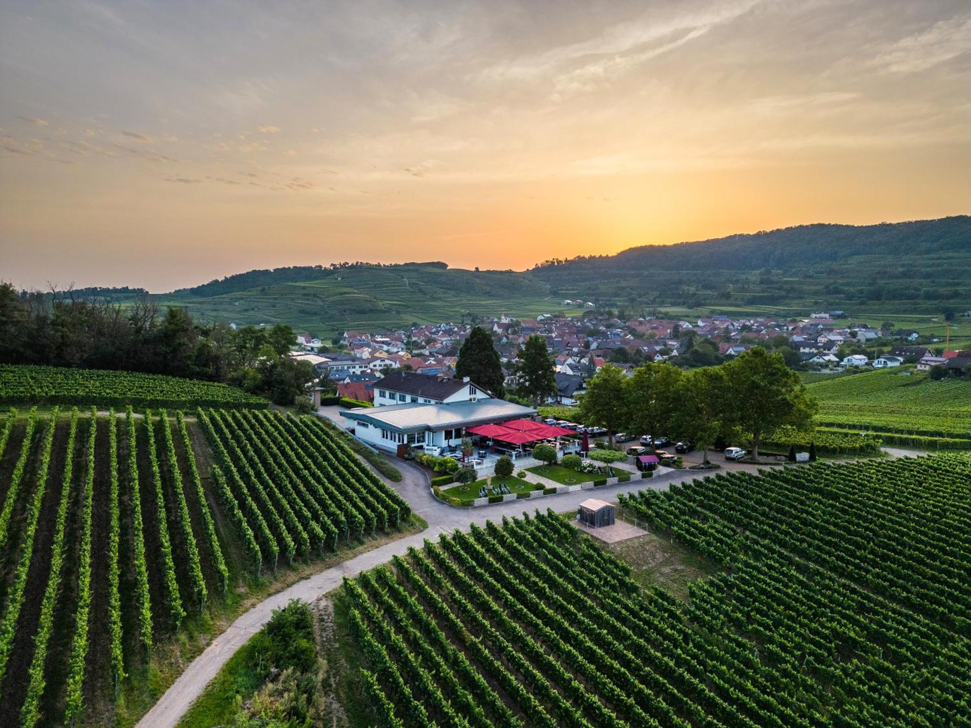 Koepfers Steinbuck Hotel Bischoffingen Bagian luar foto