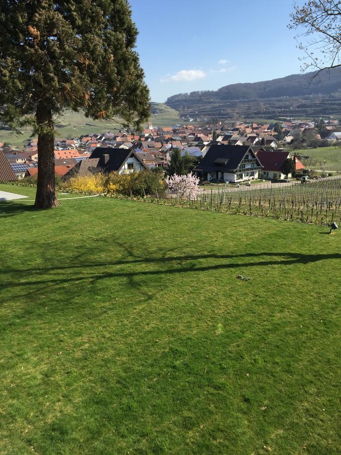 Koepfers Steinbuck Hotel Bischoffingen Bagian luar foto