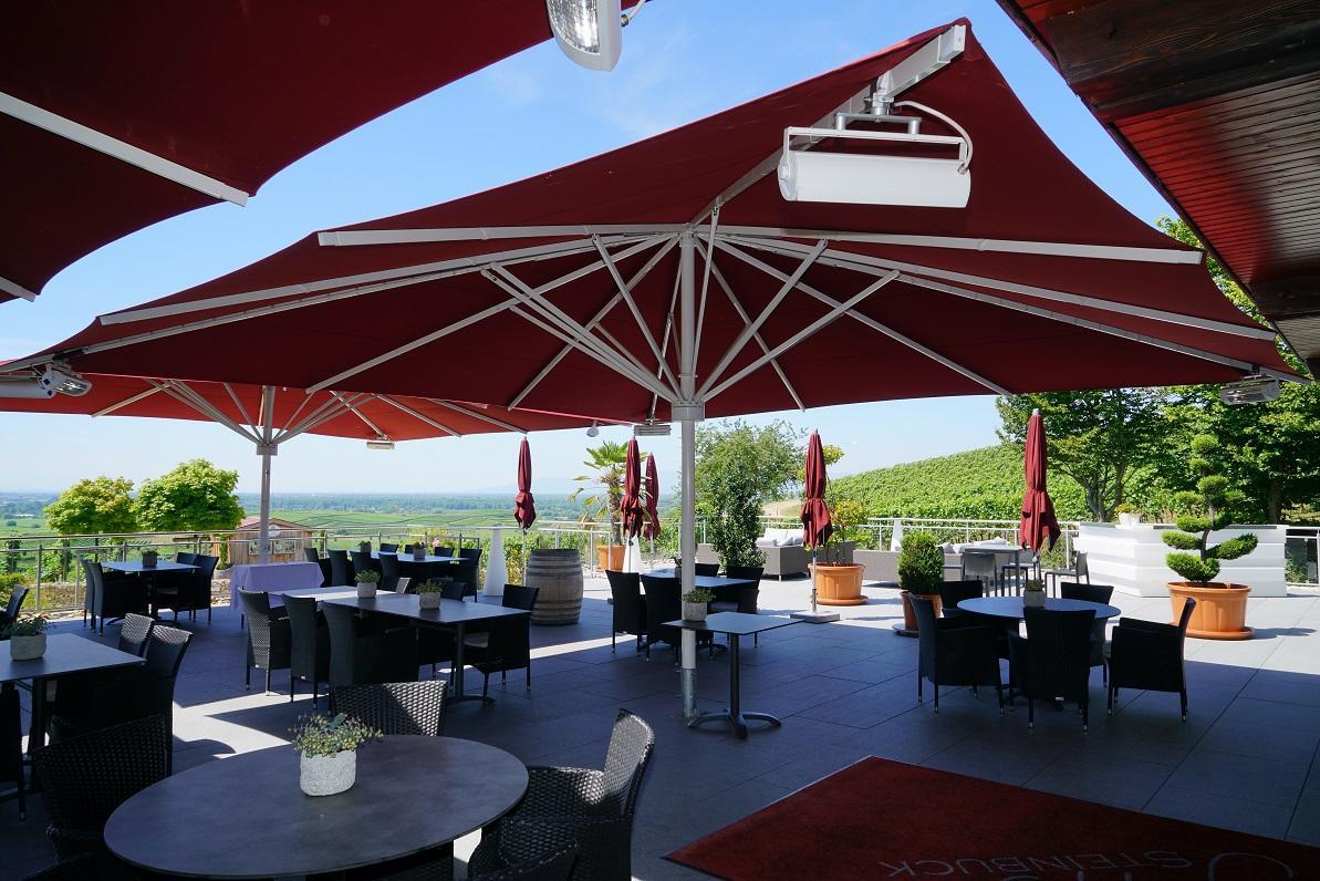 Koepfers Steinbuck Hotel Bischoffingen Bagian luar foto